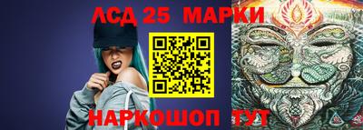 прущие грибы Ирбит