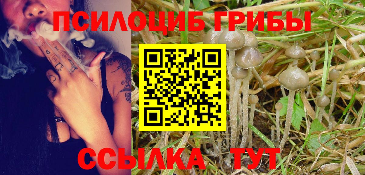 Галлюциногенные грибы Psilocybine cubensis Кстово