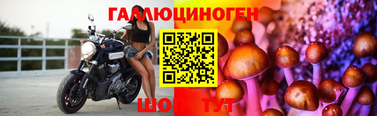 Псилоцибиновые грибы Magic Shrooms  Вход с VPN  Кстово 