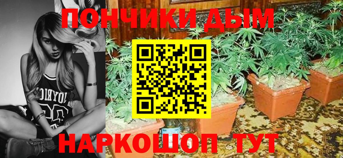Бошки Шишки индика Кстово
